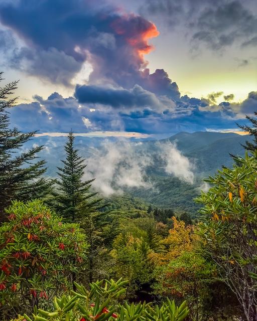 Color Badger’s Appalachian world