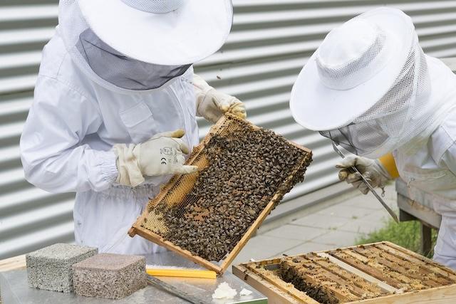 TN Beekeepers set annual conference