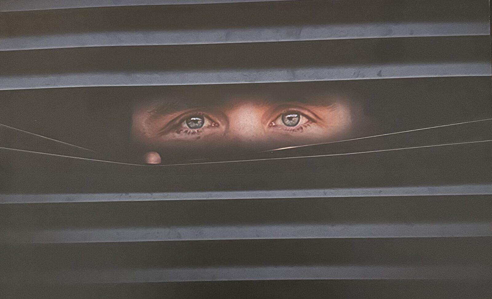 Davis vs Goldberg Who’s hidin’ now? Knox TN Today