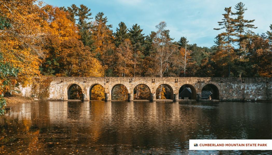 Walk off that Thanksgiving turkey