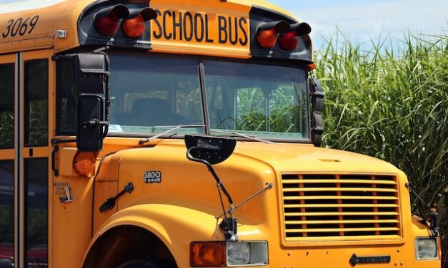 How did school buses get yellow?