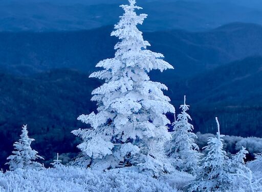 Finally, it’s Christmas