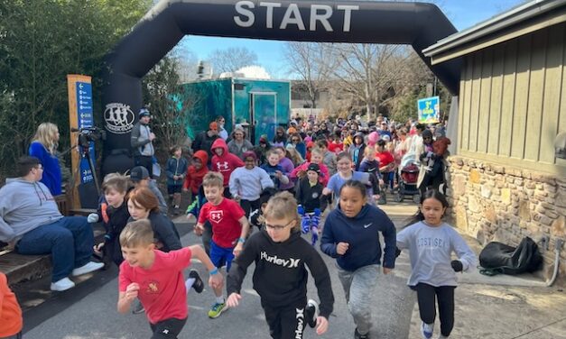 Covenant Kids Run kickoff returns to Zoo Knoxville