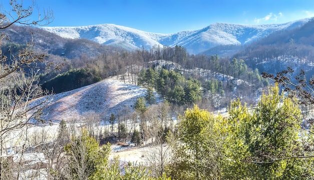 Farewell to 2025: Finding snowy serenity in East Tennessee’s Bald Mountains