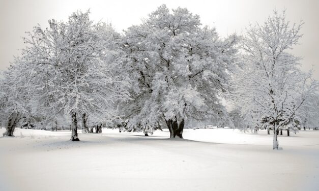 Knox County will be under a Winter Storm Warning 1/10