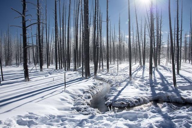 Winter play