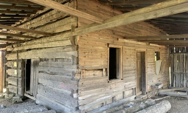 The Fork: Jack roots and J.P.’s diary