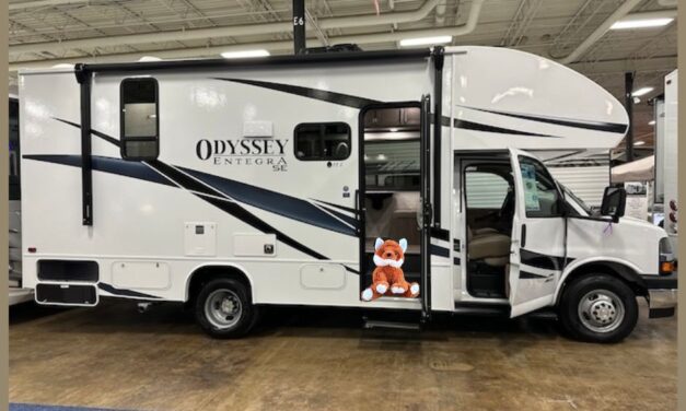 Knox the Fox shops RVs