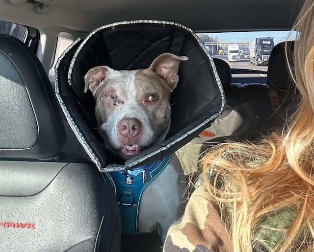 Animal highlight: Hope