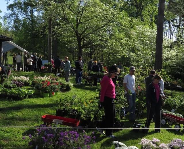 U T Arboretum Society’s Spring Plant Sale