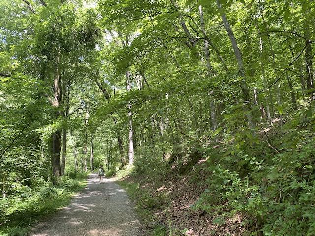 Getting outdoors in East Tennessee