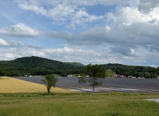 Second Harvest & East Tennessee farmers