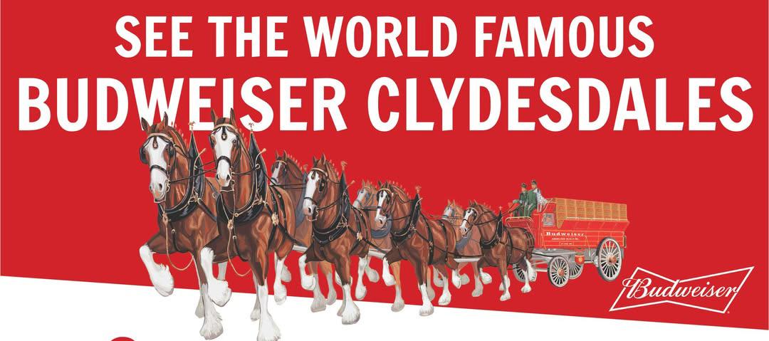 Clydesdale to visit ET Food City stores