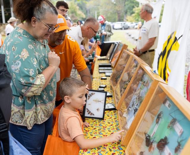 Reminder: Save the date – Butterfly Festival in Oak Ridge