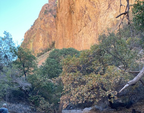 Adventures on the Fly