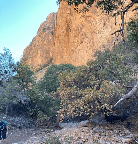 Adventures on the Fly