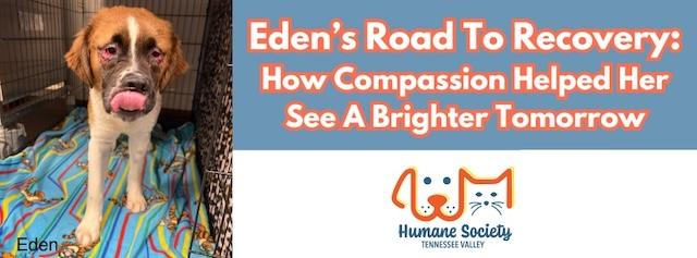 Eden’s road to recovery: A community’s compassion