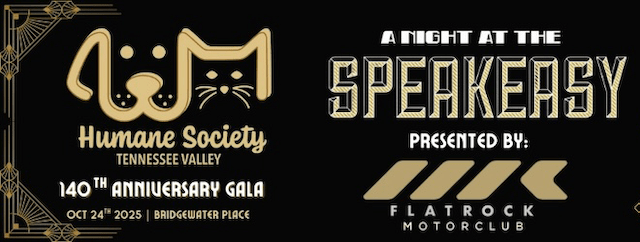 Cheers to 140 years: HSTV Gala approaches