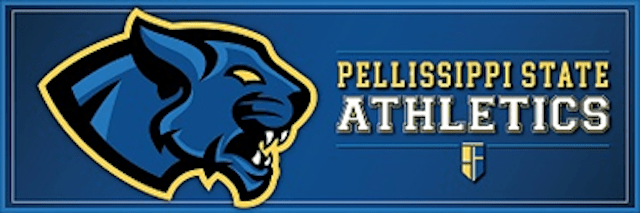 Pellissippi Baseball enters second season