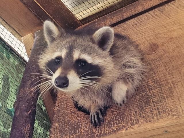 ‘We Live in a Wonderland: Appalachia’