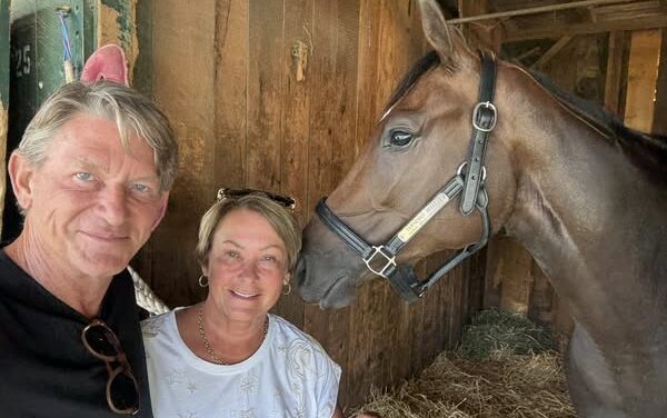 Boyds buy a $2.6 million horse