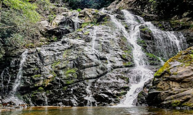 Reunion of the #rolemodels, Badger style