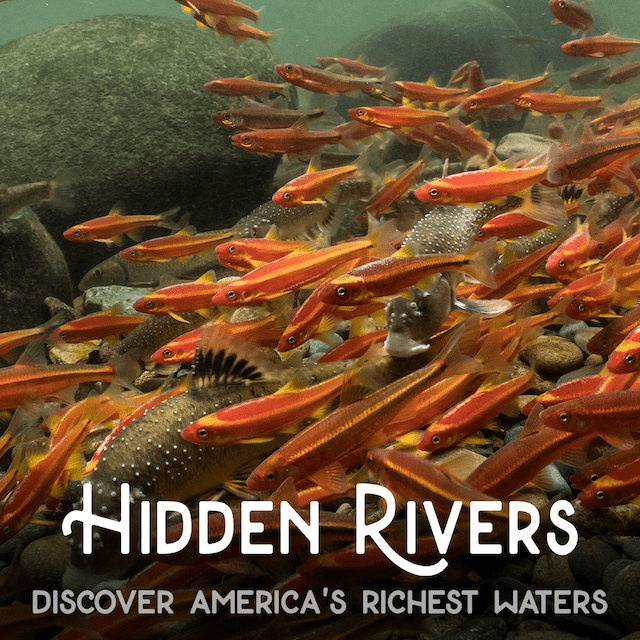 ‘Hidden Rivers of Southern Appalachia,’ a film screening