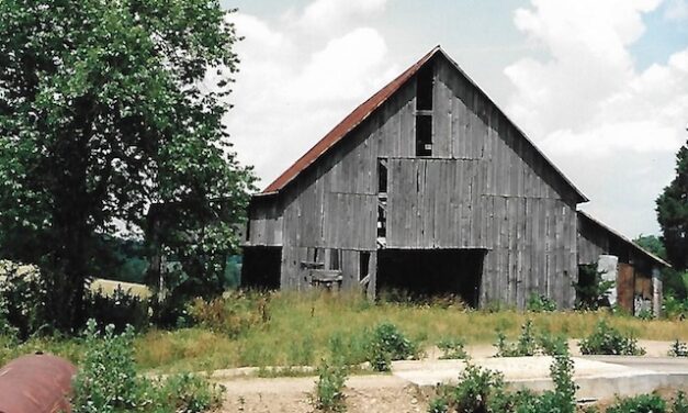 Andrew Creswell: Frequent fights