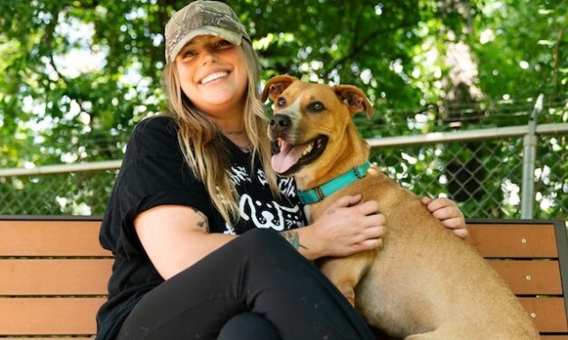 Sweet, precious and sadly overlooked: Help us help Bogie