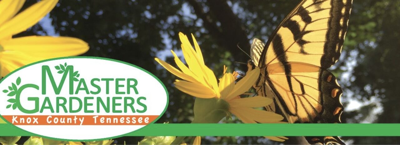 Master gardeners announce September events