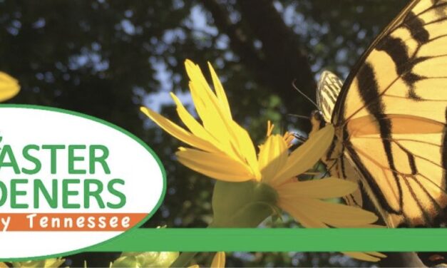 Master gardeners announce September events