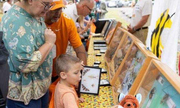 Knox excited about Butterfly Festival