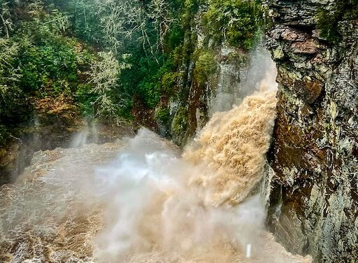 A flood of biblical proportions  