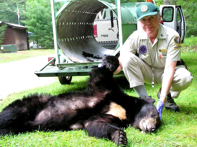 Tom Harrington follows his passion