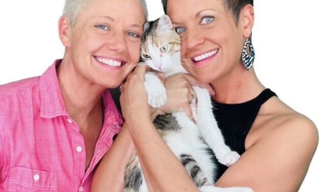 Two Crazy Cat Ladies: Their dream began in Knoxville