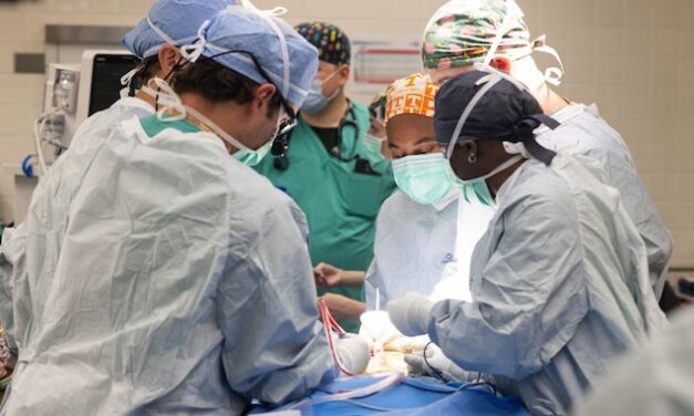 Zoo Knoxville chimpanzee undergoes historic spinal surgery