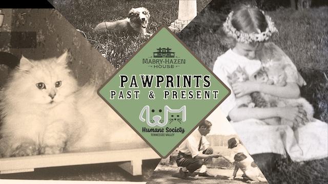 Pawprints: Past & Present brings history and adoption together at Mabry-Hazen House