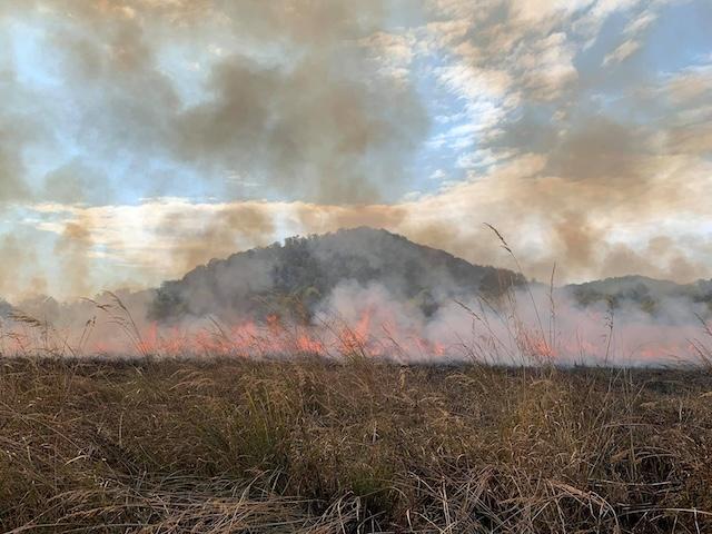 Cato: He sacrificed the fields