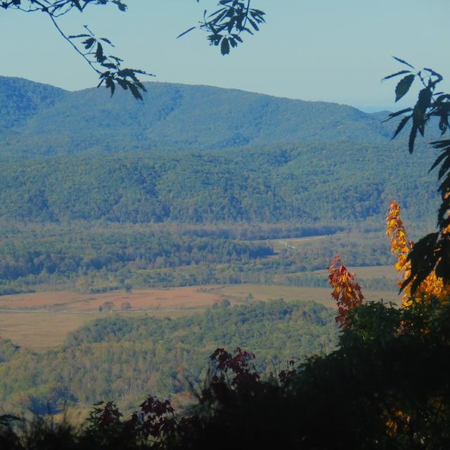 Ace Gap Trail, Crooked Arm Trail host Fall flowers and foliage