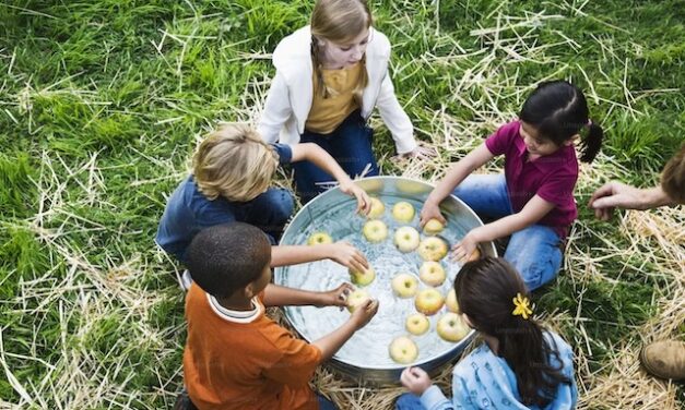 Would you bob for romance?