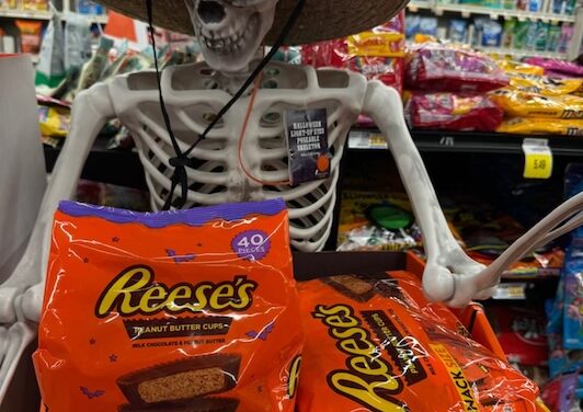 The perfect answers to Halloween fun