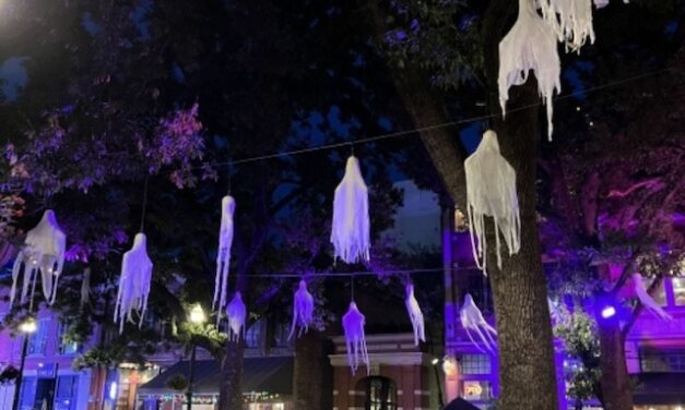 Knox the Fox going to Downtown Knoxville with return of Wicked Cool in October