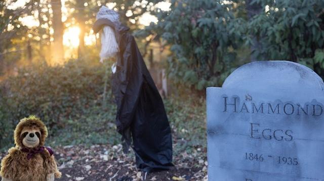 Boo! at the Zoo in its last weekend