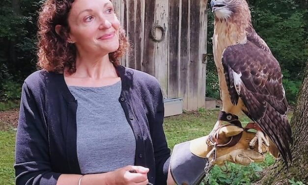 Let’s ‘Give a Hoot’ for Owl Ridge Raptor Center