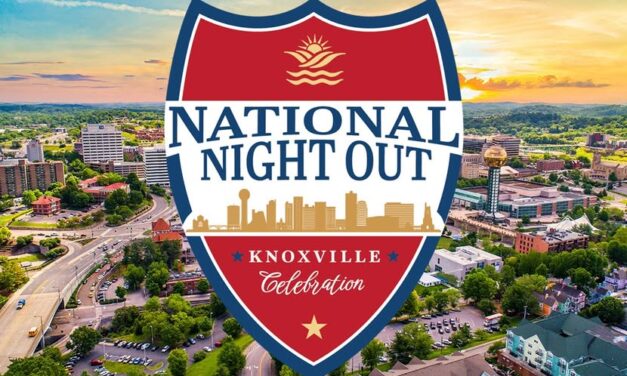 Night Out + Avigail Sachs + Shannon Martindale + Lisa Plawchan + Tim Parker ++