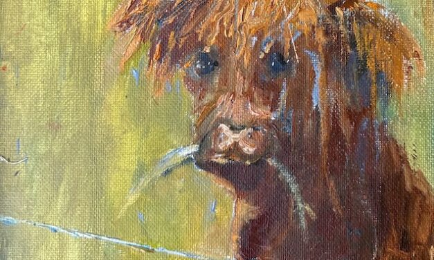 Scottish Stare