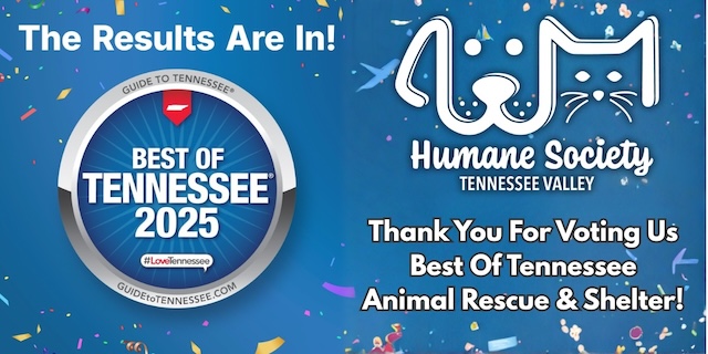 Local Humane Society is a 2025 ‘Best of Tennessee’ winner