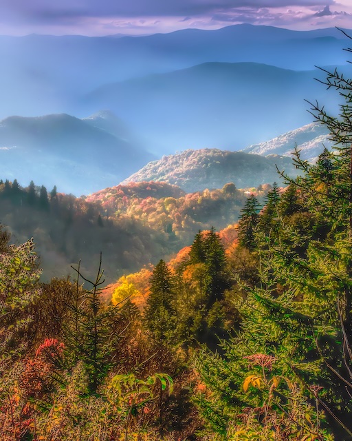 How about that new camera, Badger?