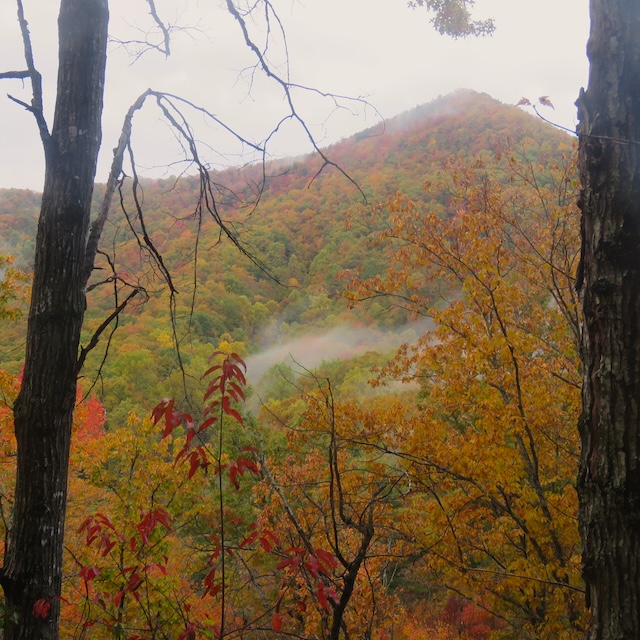 Roundtop Trail bursts with brilliance