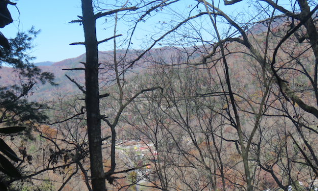 Close to Home, Far from Ordinary: Townsend, TN, Ranks #9 destination on one tank of gas